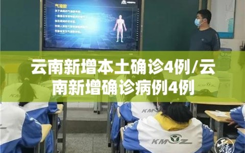 云南新增本土确诊4例/云南新增确诊病例4例