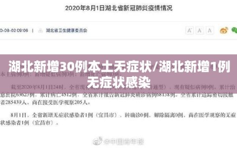 湖北新增30例本土无症状/湖北新增1例无症状感染