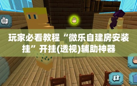 玩家必看教程“微乐自建房安装挂”开挂(透视)辅助神器