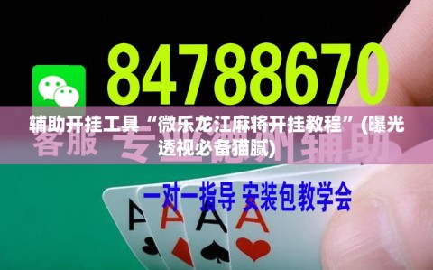 辅助开挂工具“微乐龙江麻将开挂教程”(曝光透视必备猫腻)