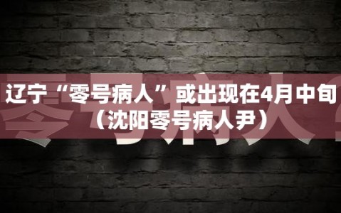 辽宁“零号病人”或出现在4月中旬（沈阳零号病人尹）