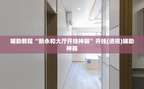 辅助教程“新永和大厅开挂神器”开挂(透视)辅助神器