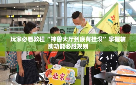 玩家必看教程“神兽大厅到底有挂没”掌握辅助功能必胜规则