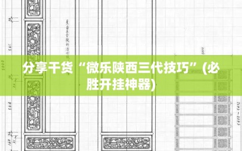 分享干货“微乐陕西三代技巧”(必胜开挂神器)