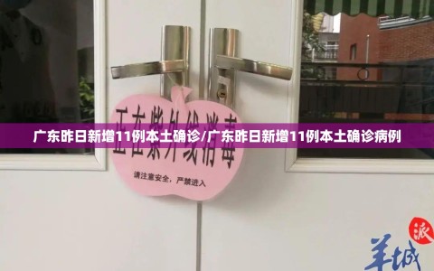 广东昨日新增11例本土确诊/广东昨日新增11例本土确诊病例