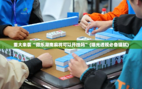 重大来袭“微乐湖南麻将可以开挂吗”(曝光透视必备猫腻)