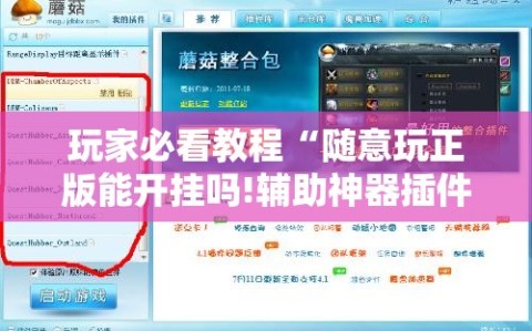 玩家必看教程“随意玩正版能开挂吗!辅助神器插件下载