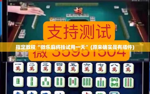 指定教程“微乐麻将挂试用一天”(原来确实是有插件)