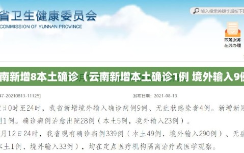 云南新增8本土确诊（云南新增本土确诊1例 境外输入9例）