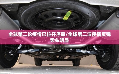 全球第二轮疫情已拉开序幕/全球第二波疫情反弹势头明显
