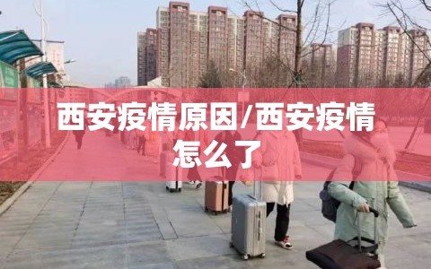 西安疫情原因/西安疫情怎么了