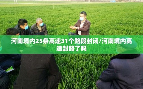 河南境内25条高速31个路段封闭/河南境内高速封路了吗