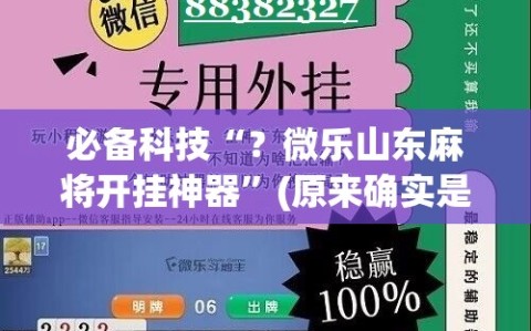 必备科技“？微乐山东麻将开挂神器”(原来确实是有插件)