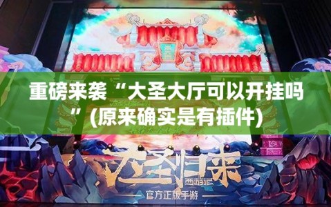 重磅来袭“大圣大厅可以开挂吗”(原来确实是有插件)