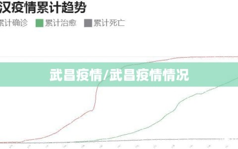 武昌疫情/武昌疫情情况