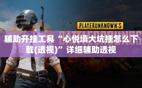 辅助开挂工具“心悦填大坑挂怎么下载(透视)”详细辅助透视