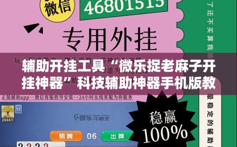 辅助开挂工具“微乐捉老麻子开挂神器”科技辅助神器手机版教程