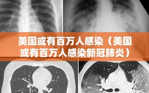 美国或有百万人感染（美国或有百万人感染新冠肺炎）
