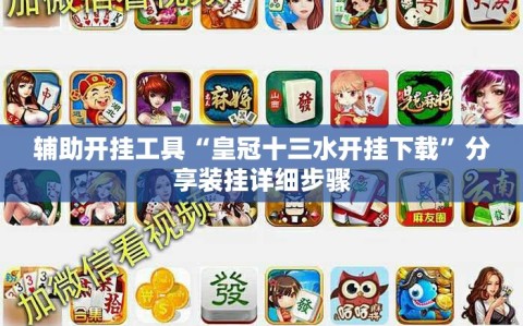 辅助开挂工具“皇冠十三水开挂下载”分享装挂详细步骤