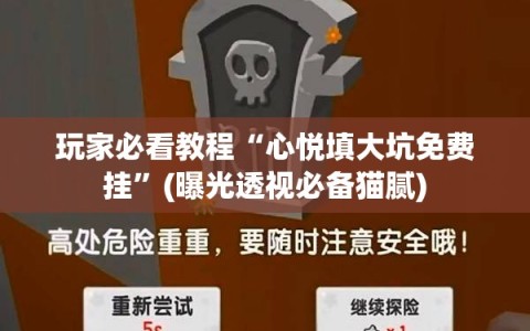 玩家必看教程“心悦填大坑免费挂”(曝光透视必备猫腻)
