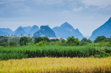辅助神器“微乐山东麻将黑科技”开挂(透视)辅助神器