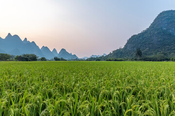辅助神器“微乐山西麻将万能开挂器免费怎么使用”开挂(透视)辅助神器